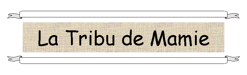 Zone de Texte: La Tribu de Mamie